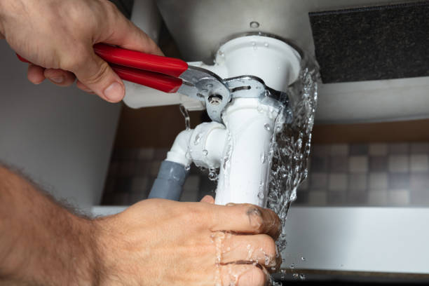 Best Mold removal after water damage  in West Orange, TX