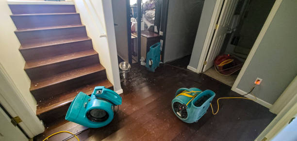 Best Flood restoration services  in West Orange, TX