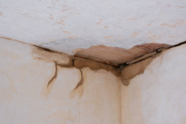 Best Water damage restoration near me  in West Orange, TX