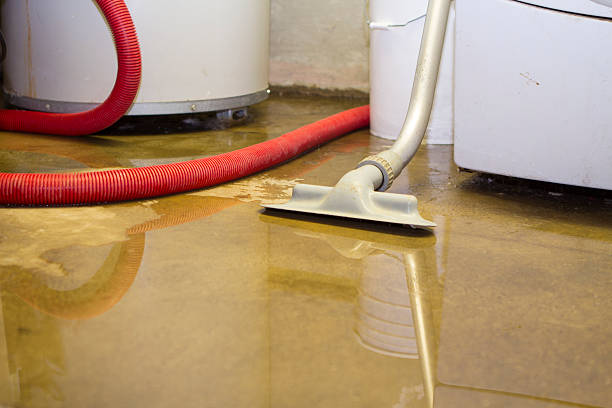  West Orange, TX Water damage restoration Pros