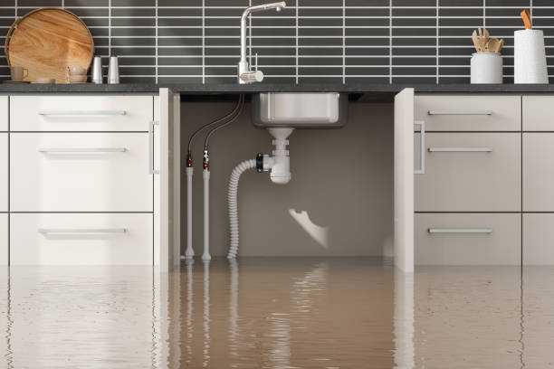 Best 24/7 water damage repair  in West Orange, TX