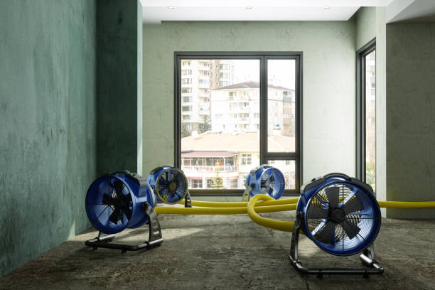 Best Water damage cleanup near me  in West Orange, TX