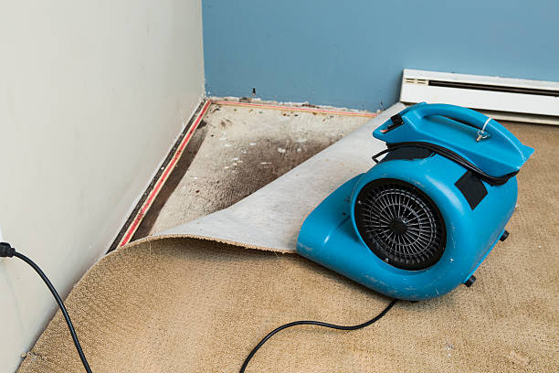 Best Basement water damage restoration  in West Orange, TX